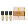 (463,33€/L) 30ml Primavera SET AROMA SAUNA Aufguss Konzentrat ätherische Öle