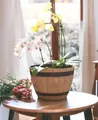 Blumenkübel Holzfass Optik Ø38 cm – Pflanzkübel Kunststoff im Weinfass Design – Ideal als Miniteich, Balkonteich, Übertopf oder Brunnenschale – Wasserdicht, Frostfest, Holzoptik