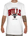 Mitchell & Ness NBA Hardwood Classics Team Arch T-Shirt - Chicago Bulls, Weiß, XL