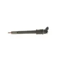 1x Einspritzdüse BOSCH 0 445 110 311 passend für CITROËN PEUGEOT