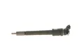 BOSCH 0 445 110 311 Injektor Einspritzdüse passend für PEUGEOT 207 (WA, WC)