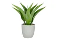 Kunstpflanze Agave, Creativ green, Höhe 55 cm, mit 13 Agavenblättern