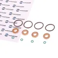 Dr.motor Automotive DRM0194S - Dichtring, Düsenhalter