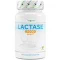 Lactase 7000 - 365 Tabletten á 7000 FCC-Einheiten Laktoseintoleranz hochdosiert