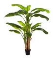 Kunstbaum Künstlicher Bananenbaum - Pauline, 180 cm, aplanta