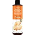 VENITA Ingwer Trichologisches Haarshampoo 300 ml