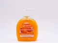 Regina Handseife Cremeseife Seifencreme Seife Pfirsich Orange 500 ml Pumpflasche