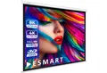 ESMART ESMART Germany Rollo Leinwand Rolloleinwand (Professional MIROLO)