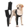 Suitical Recovery Sleeve Hund, S, Schwarz