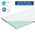 Genius eazzzy Topper Trend, 100x 200x 5 cm Matratzentopper, atimungsaktiv, Memory Schaum, Allergiker geeignet Matratzenauflage mit abnehmbarem Bezug