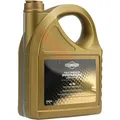 Briggs u. Stratton PREMIUM LONG LIFE OIL 5L  | 100009S | 4016153567617