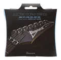 Ibanez IEGS6 E-Guitar String Set 009