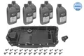 Meyle Lagerung, Motor 300 221 1101 für BMW