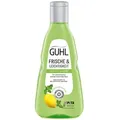 Guhl Frische und Leichtigkeit Anti Fett Shampoo Pflege fürs Haar 250ml