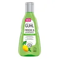 GUHL FRISCHE & LEICHTIGKEIT ANTI-FETT Shampoo 250 ml