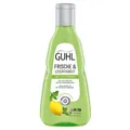 Guhl Frische und Leichtigkeit Anti Fett Shampoo Pflege fürs Haar 250ml