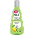 250ml Guhl Frische & Leichtigkeit Anti Fett Shampoo  mit Zitronenmelisse