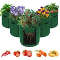 LITLANDSTAR Potato Growing Bag, 5-Pack 10 Gallonen Vegetable Growing Plant Bags mit Sichtfenster und Griffen für Gemüse, Obst, Blumen, Kartoffel (Grün)