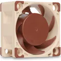 Noctua NF-A4x20 5V (40 mm, 1x) (NF-A4x20 5V)