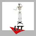 EUROPALMS Halloween Skelett, stehend, 150 cm