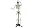 EUROPALMS Halloween Skelett, stehend, 150 cm