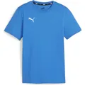 Puma teamGOAL Casuals Tee Jr (164) (658616_02)