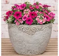 AltoBelli Blumentopf AltoBelli Blumentopf ADELINA Zement Antik Grau Patina 18x17 cm