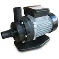 Steinbach Filterpumpe CPS 40-2 | 200 W | für Steinbach Classic 250/300 und Miganeo Dynamic 6500