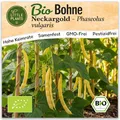 Little Plants BIO Stangenbohne Samen 15 Bohnensamen Neckargold Gelb Gemüsesamen Gemüsesaatgut Samenfest für Gemüsegarten, Hochbeet, Küche, Balkon und Garten