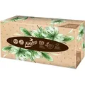 Linteo Paper Tissues Two-ply Paper, 100 pcs per box Papiertaschentücher 100 St.