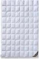 daunen-federn.de Sommer Bettdecke 135x200 Premium: 100% neue Daunen Klasse 1, atmungsaktiv, 8x10 Karo Stepp