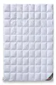 daunen-federn.de Sommerbettdecke 135x200 Premium: 100% natürliche Materialien, atmungsaktiv, Allergiker geeignet, 100% luftige Baumwolle, 100% Daunen Qualität Klasse 1, Made in Germany