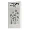 Loewe Agua Mar de Coral EDT 100ml