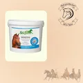 Stiefel Mineral 3kg Mineralstoffe Ergänzungsfutter Pferd  Pferdepflege Reiten