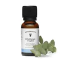 Retterspitz Erkältungstropfen 20 ml