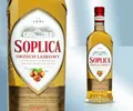 Haslnuss-Likör "SOPLICA" 30% Фундуковый ликер  "СОПЛИЦА" Likier Polska