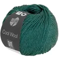 LANA GROSSA Cool Wool Melange | Extrafeine Merinowolle waschmaschinenfest und filzfrei | Handstrickgarn aus 100% Schurwolle (Merino extrafein) | 50g Wolle zum Stricken & Häkeln | 160m Garn FB 1425