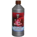 HESI Boost 1 L