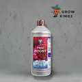 Hesi Boost 1l