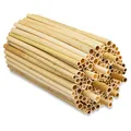BEESI 1000x Naturbelassen Niströhren für Wildbienen aus Schilf 14 cm lang
