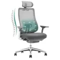 COLAMY XK Atlas Ergonomischer Netz-Bürostuhl, Chefsessel mit hoher Rückenlehne, Verstellbarer Kopfstütze und 4D-Armen, Schiebesitz, Kippsperre, Aluminium-Basis, Dunkelgrau