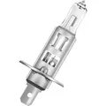 Osram Automotive 4062172395380 Halogen Leuchtmittel Standard H1 55 W 12 V