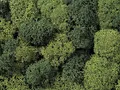 Noch 08610 - Dekormoos hellgrün/dunkelgrün sortiert, 35 g - OVP