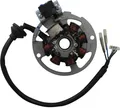 Lichtmaschine Stator 7 Spulen Pick-up außen Rex 31230805-02-2 Motorroller.de D=79mm 5 Kabel 1x3 + 2x1 Pol Ankerplatte Zündplatte Zündgrundplatte Moped