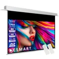 ESMART Expert CSX Deckeneinbau-Leinwand 221 x 125 cm (100") 16:9