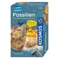 Kosmos Fossilien (657918)