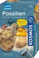 Kosmos Experimentierkasten Fossilien