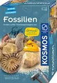 KOSMOS 657918 Fossilien Ausgrabungs-Set, Grabe echte Versteinerungen und Bernstein selbst aus, mit Hammer und Meißel, Experimentierset für Kinder ab 7 Jahre