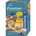 KOSMOS Fossilien Ausgrabungs-Set