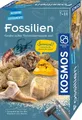 KOSMOS - Fossilien